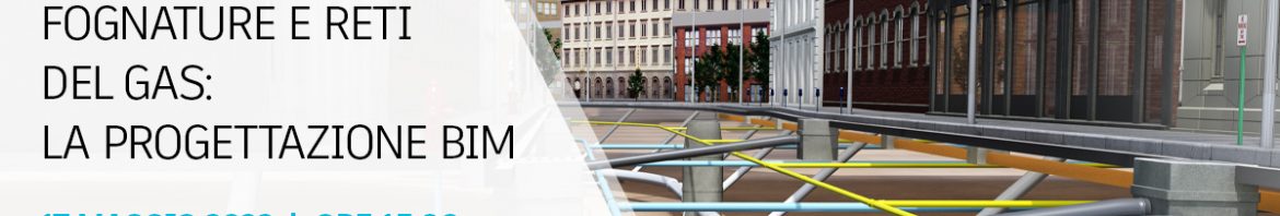Banner_Webinar_Acquedotti_fognatur_reti-del-gas_Orienta